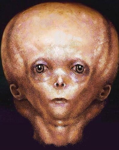 Artists depiction of how the child would have looked, after analysis of the Starchild Skull. (tonio48 / Deviant Art)