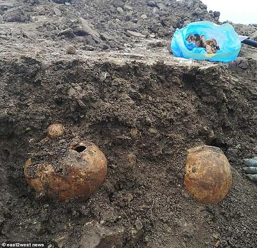 The bodies of 1,362 Nazi victims have been discovered at a grave in Novaya Burya village, in the Lomonosovsky district of Leningrad region (pictured)