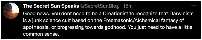 Screenshot 2022-12-26 at 20-25-39 The Secret Sun Speaks (@SecretSunBlog) _ Twitter