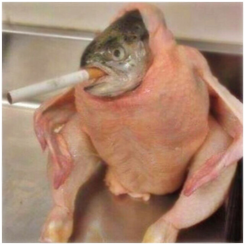 43199593_10104868371895546_3412106527442468864_n