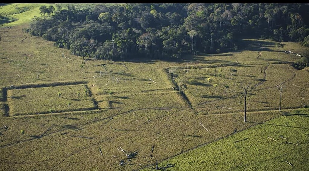 Ancient geoglyphs found hidden under the Amazon Rainforest portends to
