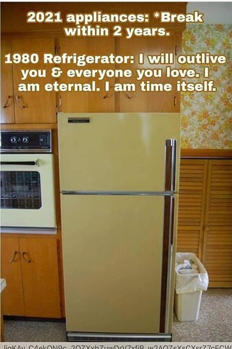2021 refrigerator fridge against 1980 version