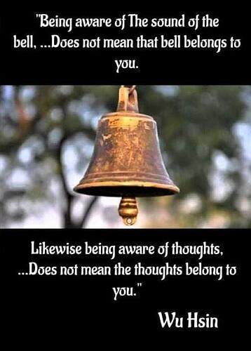 354441794_313718417644725_7427213131611293190_n