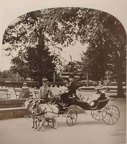 Goat team and carriage, Central Park, 1871