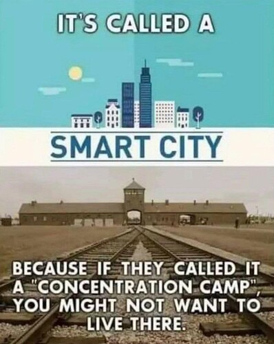 356143500_276273895065504_4519513321976689640_n