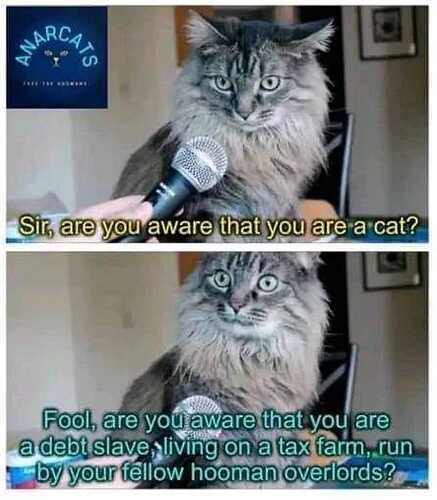 346661286_687455649815489_8834016675254147139_n