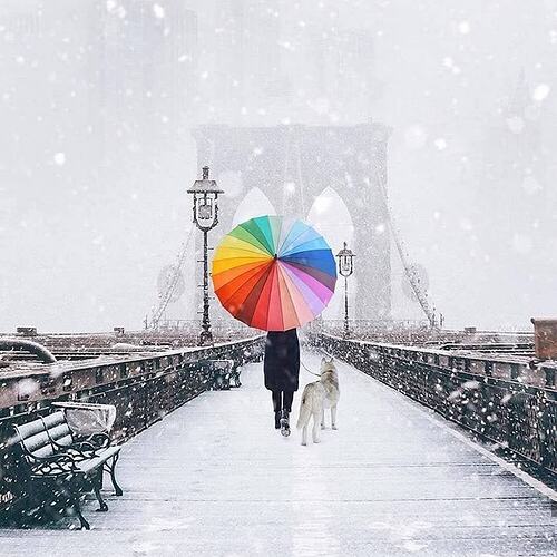A person walking their dog on the Brooklyn Bridge during a snowy day