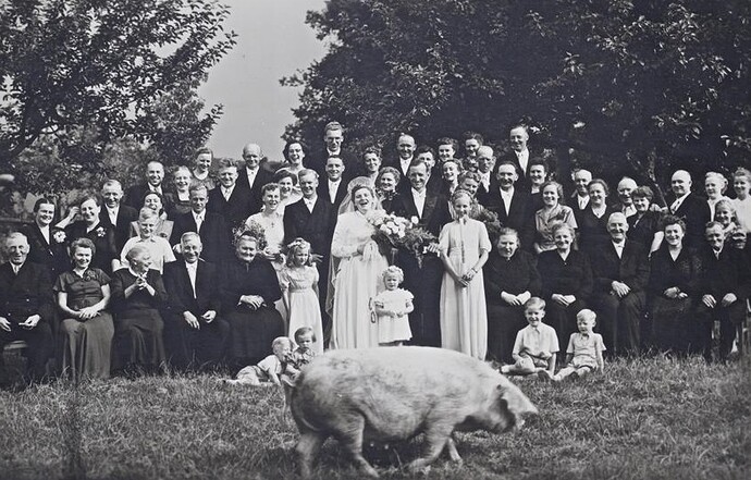 Back then, no one smiled for photographs. That changed when a pig ran in front of the camera. (1927)