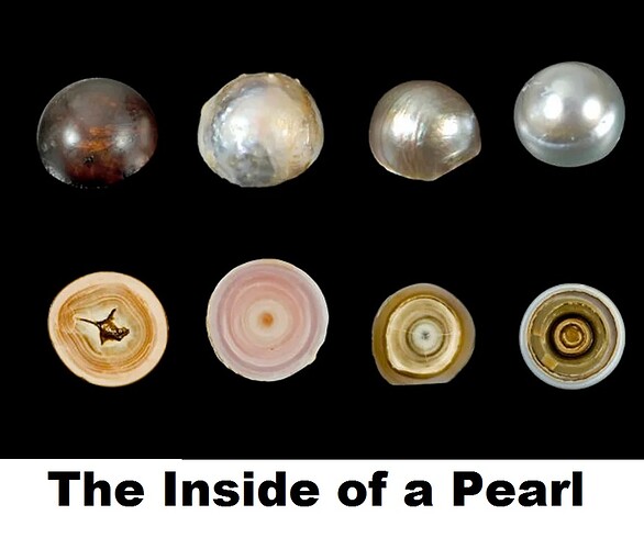 Inside of a Pearl (1)