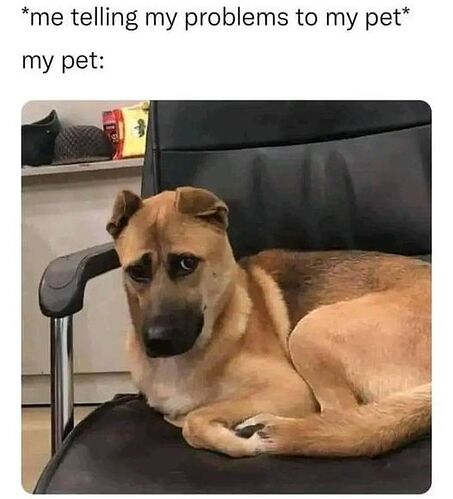 dogpsychologist