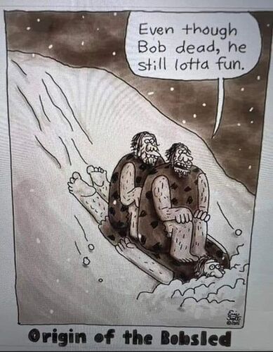 280489392_515723110221198_3407086883090036276_n