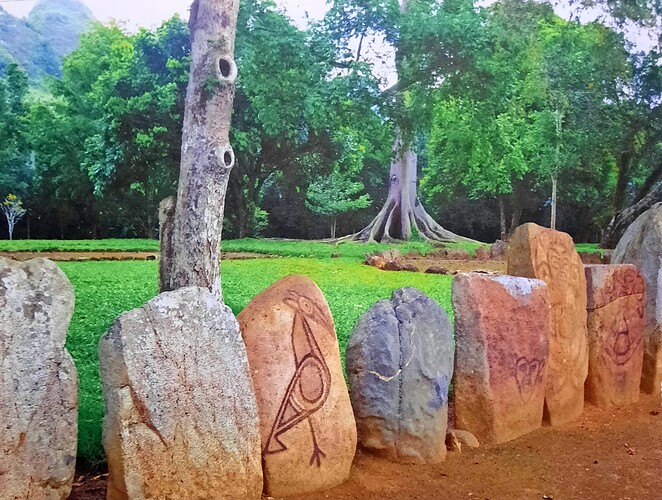 c034b1_b80b4adbd0894fc8b51d5fc89045bcc9~mv2