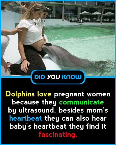 365267257_685156753656733_2176266657911037601_n