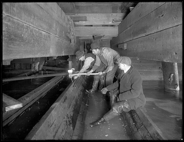 History Men Working in W. 129th Street sewer New York circa 1911