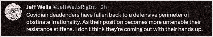Screenshot 2023-03-04 at 18-49-42 Jeff Wells (@JeffWellsRigInt) _ Twitter