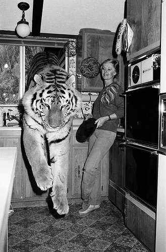 Tippi Hedren and her tiger, 1982