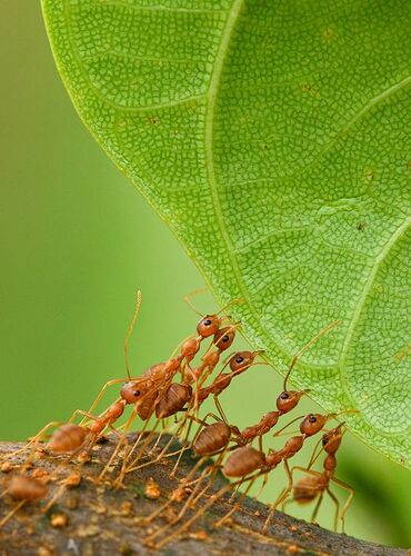 131623419_1933525143468361_2687224019716035306_o