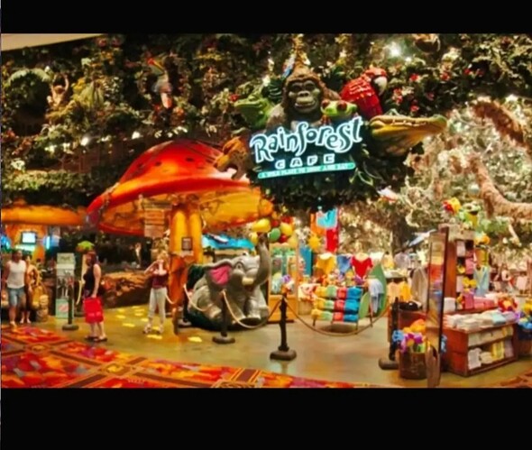 The Rainforest Cafe in the 90s. The jungle-themed restaurant first opened in 1994 with animatronic animals adding to the atmosphere