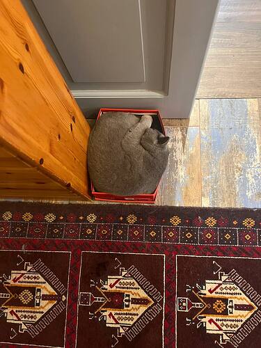 IMAGE 2023-06-27 17:20:49