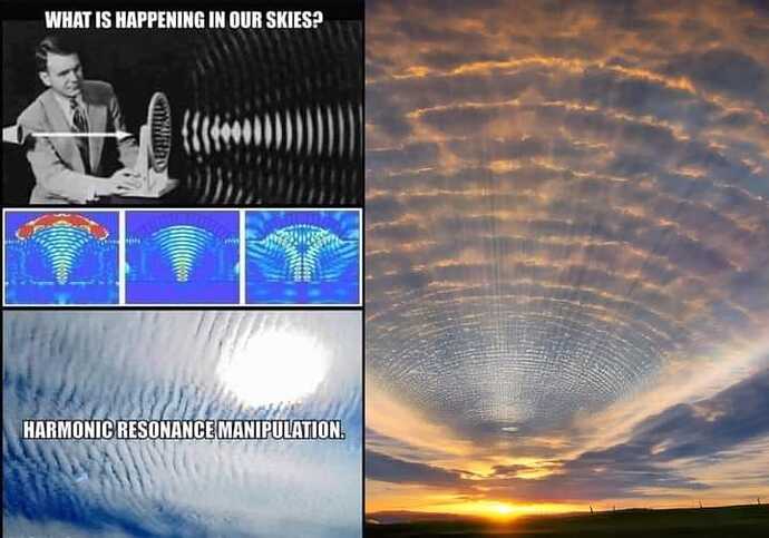 360081272_7202305389786252_1394570120603970442_n