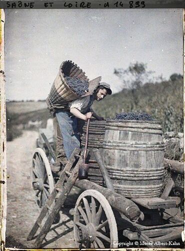 history France 1910, grape picker, autochrome from Albert Kahn archives