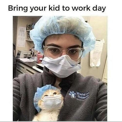 catkid