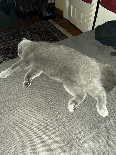 IMAGE 2023-04-25 09:02:56