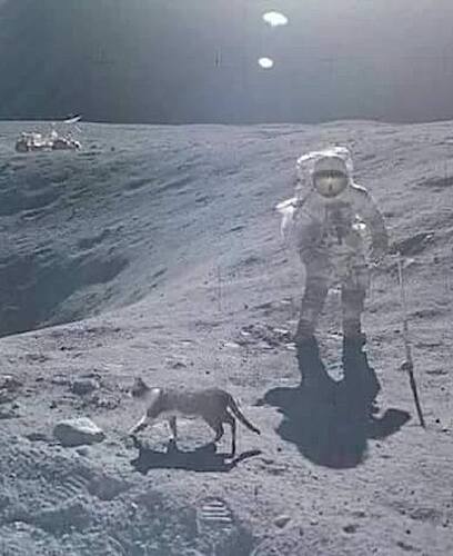 apollo-memes00001