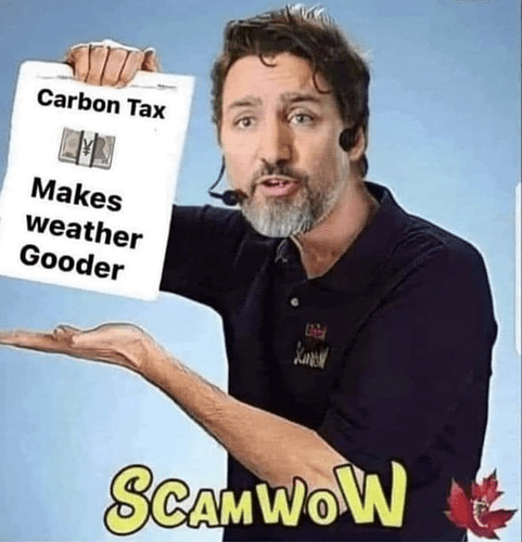 carbonTax