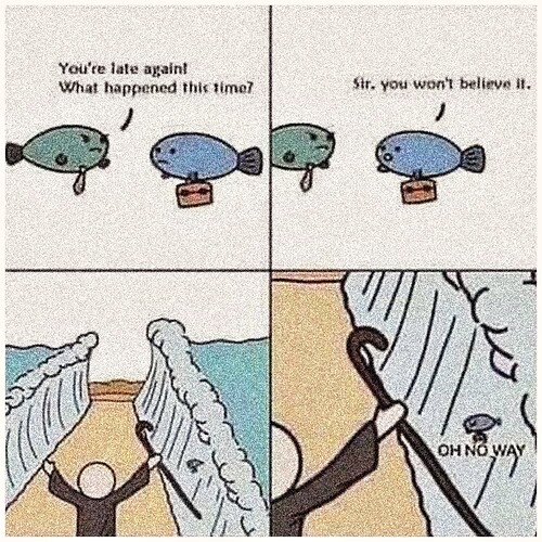 276992537_4851395148320675_3284579854234298862_n