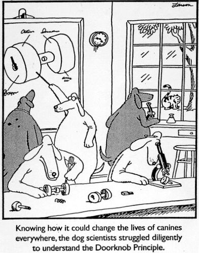 42fe88b35caac547a91a0582fa2b7887