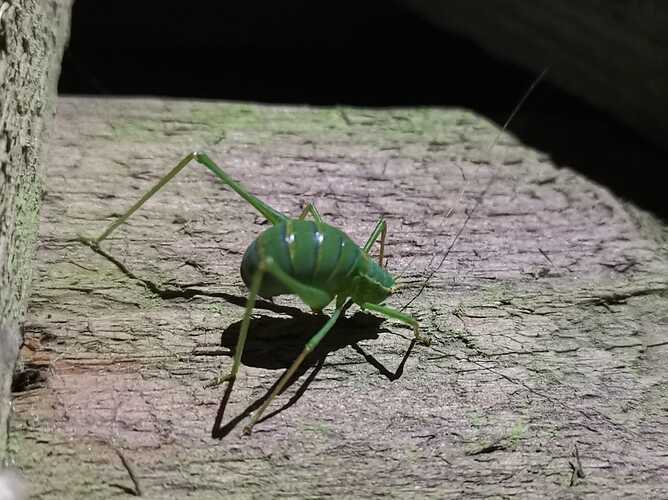 WhatsApp Image 2023-08-30 at 22.34.52