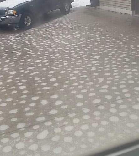 FB_IMG_1682105011532