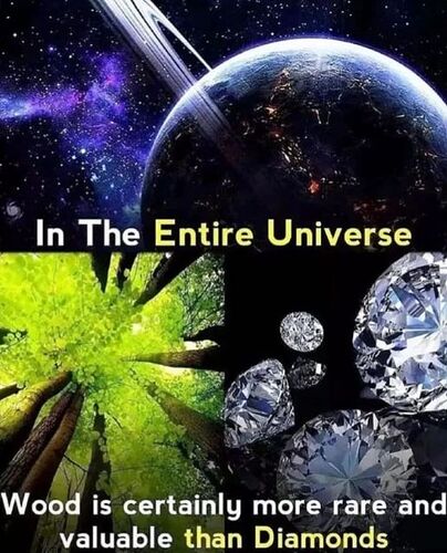 357470025_278823628139789_4548720789753053219_n