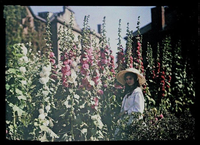 first-color-photos-vintage-old-autochrome-lumiere-auguste-louis-593e489420ff4__880