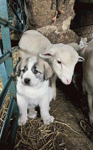 480237744_563958169964219_4286537954320421515_n