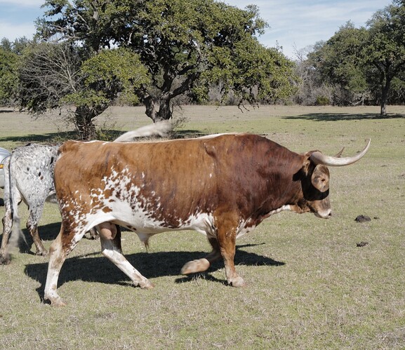 D78A1AD1-96DD-4AAE-972F-D833B0889BC2_1_105_c