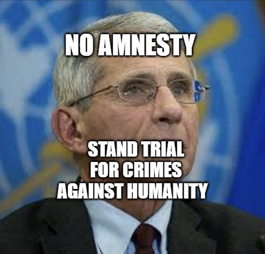 noamnesty