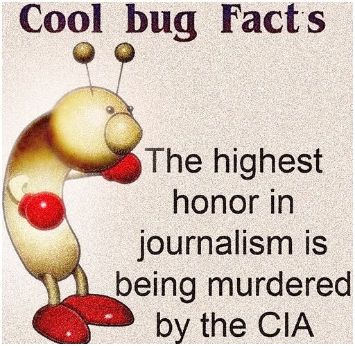 july-memes-202300007