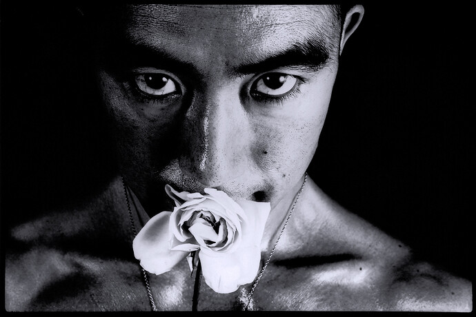 Yukio Mishima's enduring, unexpected influence | The Japan Times