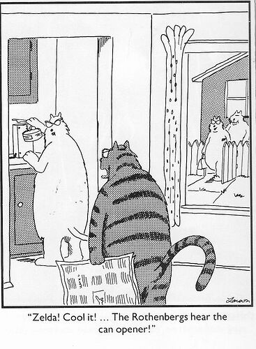 284265646_1533213153741179_5776665875043905085_n