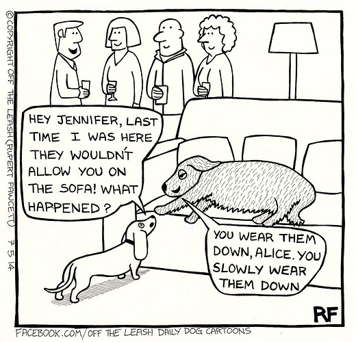 351336511_809610753574637_4595646107458980885_n