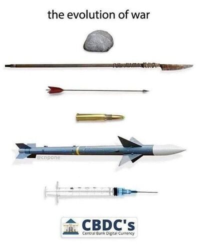 356900122_277670521592508_880785842723749953_n