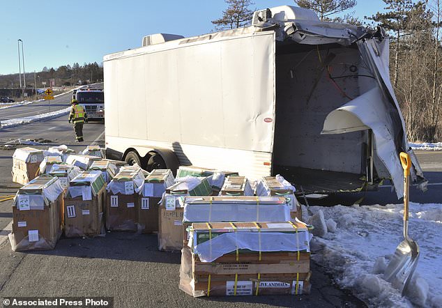 Crates holding live monkeys are collected next to the trailer they were being transported in along state Route 54 at the intersection with Interstate 80 near Danville, Pennsylvania on Friday after a pickup pulling the trailer carrying the monkeys was hit by a dump truck