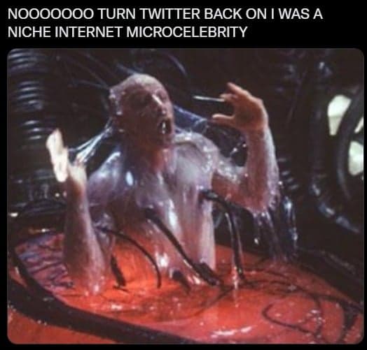 315531874_529836382022704_729748748589760551_n