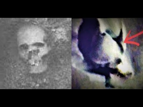 Discovery of titanic☠skull☠near icy burial mound in antarctica now