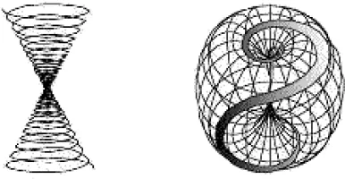 vortex_torus