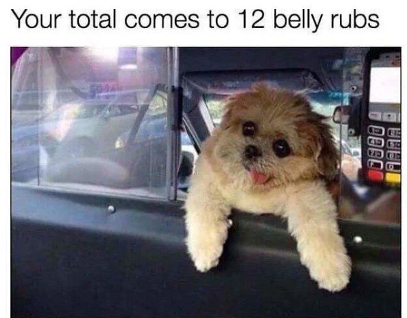 bellyrubs