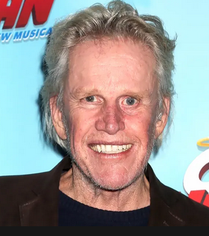 Screenshot 2024-02-05 at 06-52-39 gary busey - Google Search