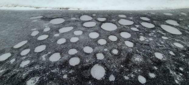 FB_IMG_1682105028362